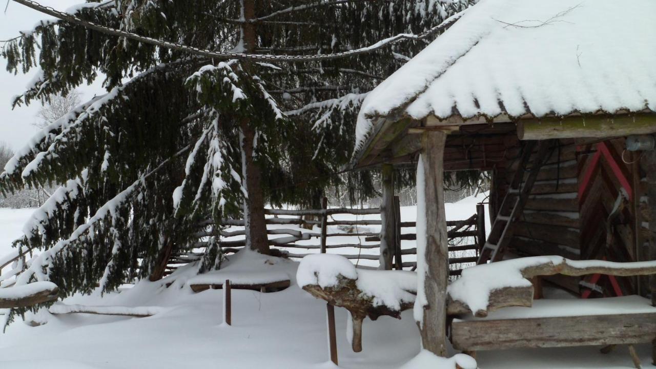 Viruna Farm Kiraste Exterior photo