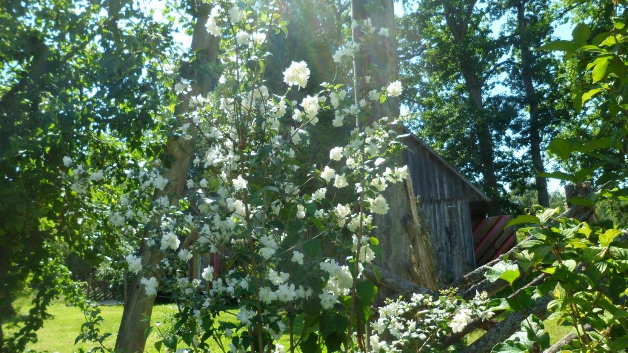 Viruna Farm Kiraste Exterior photo